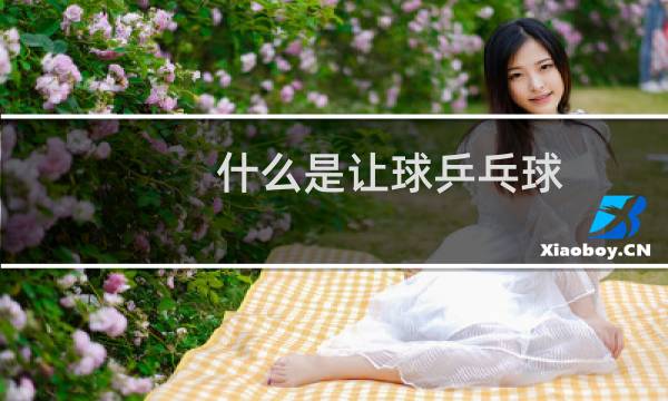什么是让球乒乓球