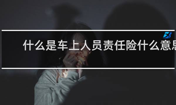 什么是车上人员责任险什么意思