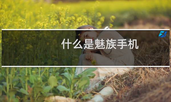 什么是魅族手机