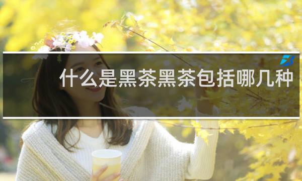 什么是黑茶黑茶包括哪几种