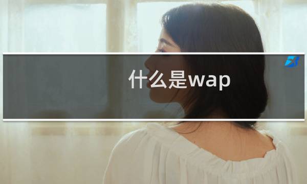 什么是wap?