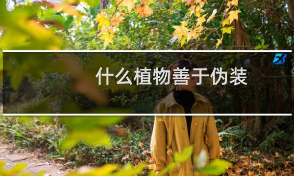 什么植物善于伪装