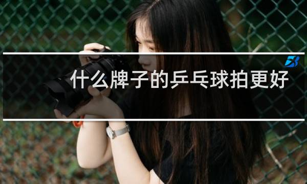 什么牌子的乒乓球拍更好