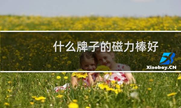 什么牌子的磁力棒好