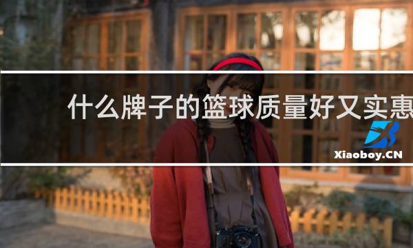 什么牌子的篮球质量好又实惠