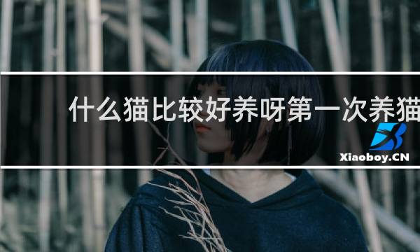 什么猫比较好养呀第一次养猫
