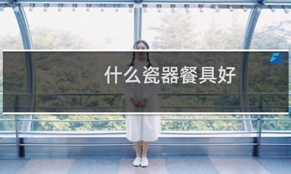 什么瓷器餐具好