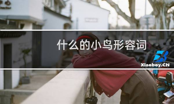 什么的小鸟形容词