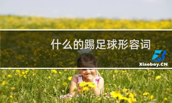 什么的踢足球形容词