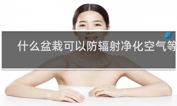 什么盆栽可以防辐射净化空气等等