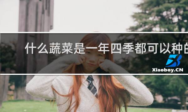 什么蔬菜是一年四季都可以种的