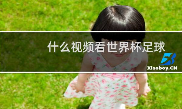 什么视频看世界杯足球