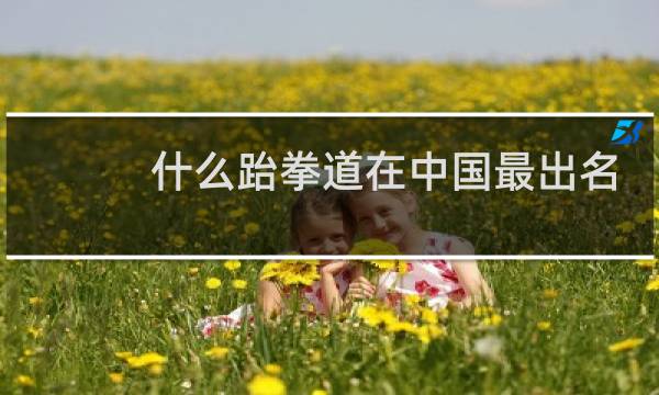 什么跆拳道在中国最出名