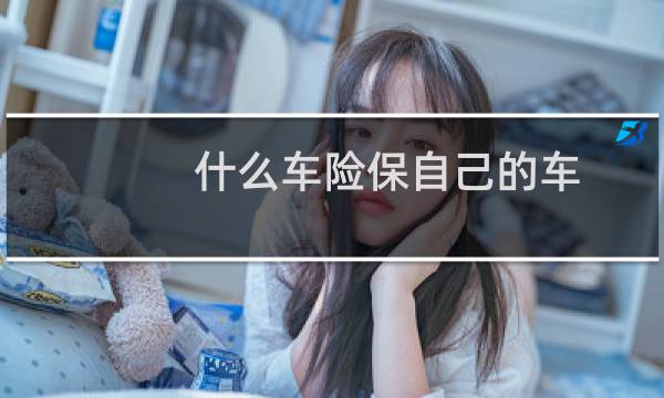 什么车险保自己的车