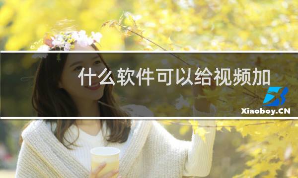 什么软件可以给视频加音乐