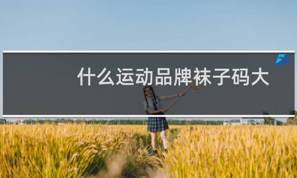 什么运动品牌袜子码大