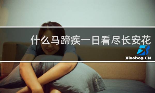 什么马蹄疾一日看尽长安花