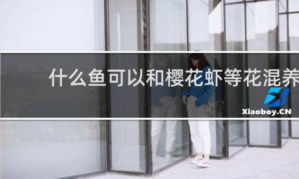 什么鱼可以和樱花虾等花混养