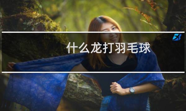 什么龙打羽毛球