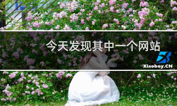 今天发现其中一个网站打不开