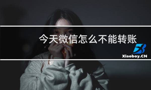 今天微信怎么不能转账（今天微信怎么不能转账是怎么回事）图片