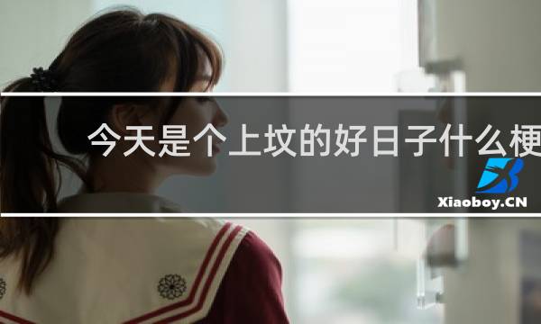 今天是个上坟的好日子什么梗