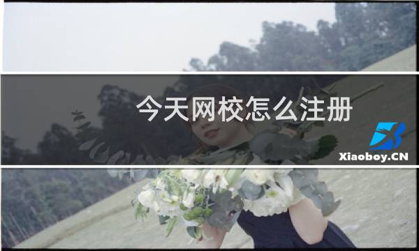 今天网校怎么注册(今天网校进行注册的教程步骤)