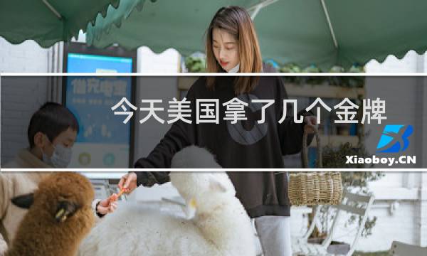 今天美国拿了几个金牌