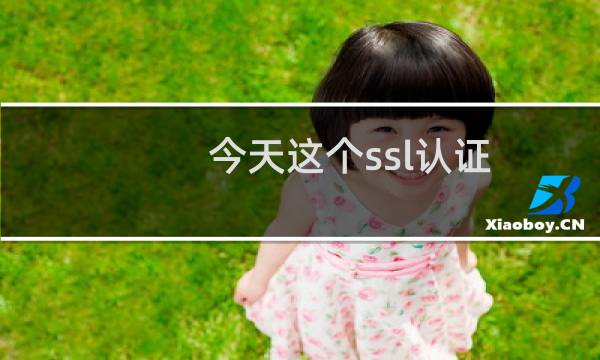 今天这个ssl认证,我都等了半天了,每次都是吧,重新提交
