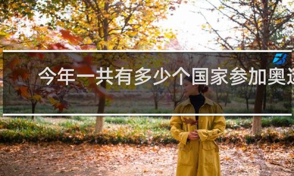 今年一共有多少个国家参加奥运会
