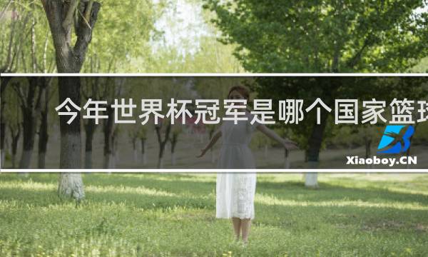 今年世界杯冠军是哪个国家篮球