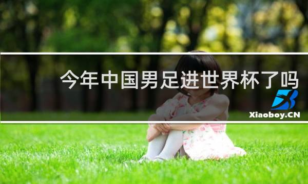 今年中国男足进世界杯了吗