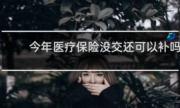 今年医疗保险没交还可以补吗