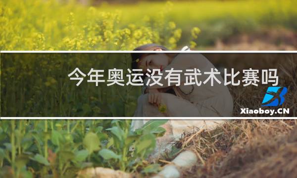 今年奥运没有武术比赛吗