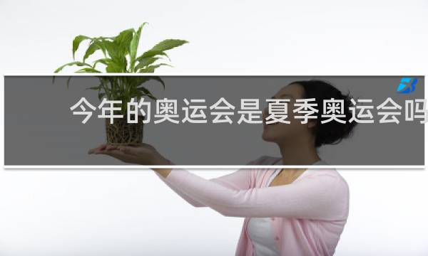 今年的奥运会是夏季奥运会吗