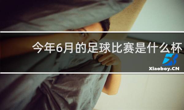 今年6月的足球比赛是什么杯