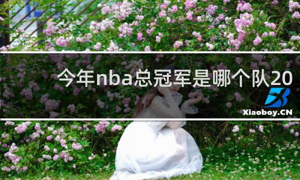 今年nba总冠军是哪个队2021