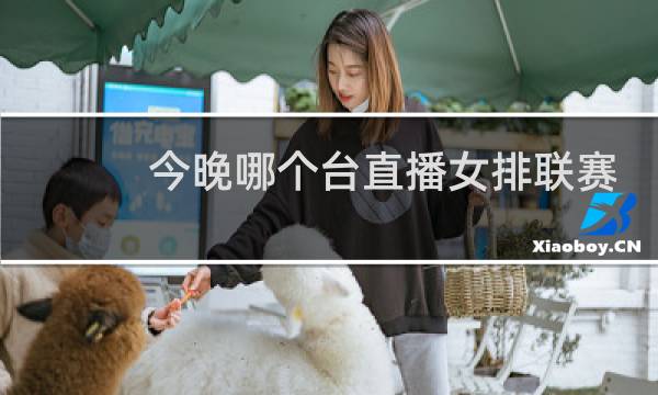 今晚哪个台直播女排联赛
