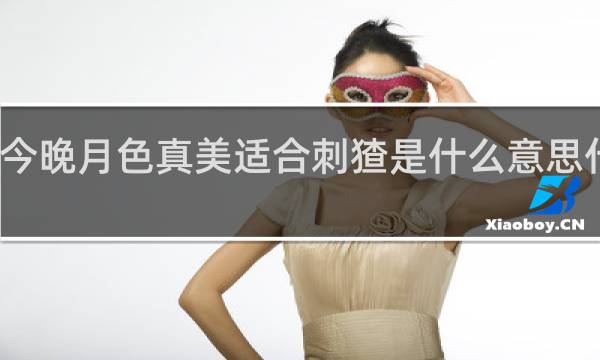 今晚月色真美适合刺猹是什么意思什么梗