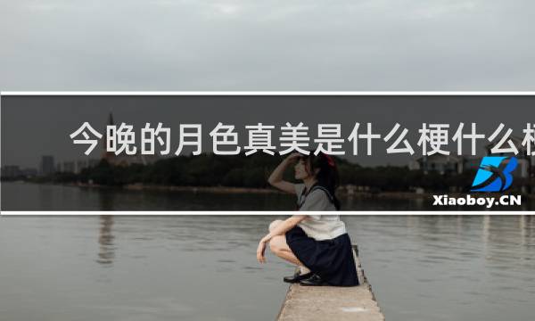 今晚的月色真美是什么梗什么梗