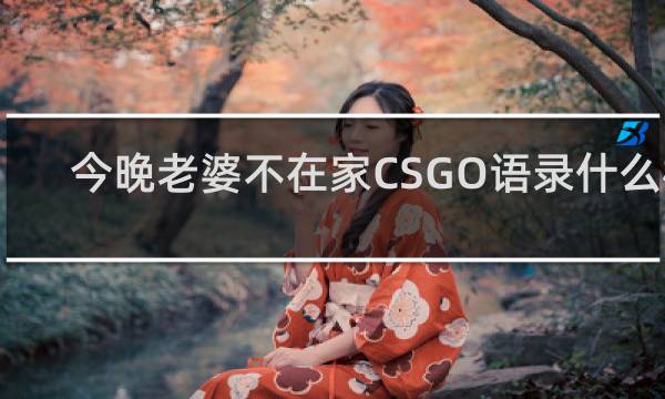 今晚老婆不在家CSGO语录什么梗