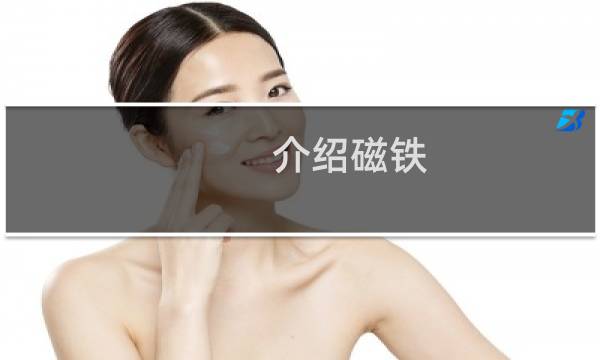 介绍磁铁