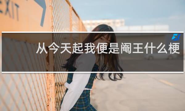 从今天起我便是阉王什么梗