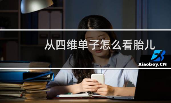 从四维单子怎么看胎儿性别（怎么从四维彩超单中看出胎儿性别）图片