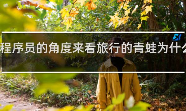 从程序员的角度来看旅行的青蛙为什么这么火