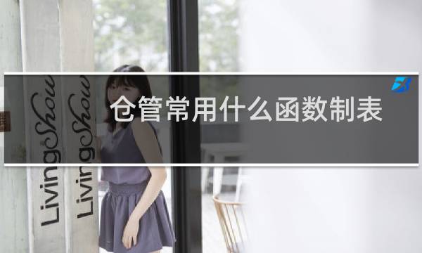 仓管常用什么函数制表（仓管常用的表格）图片