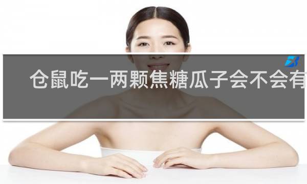 仓鼠吃一两颗焦糖瓜子会不会有事