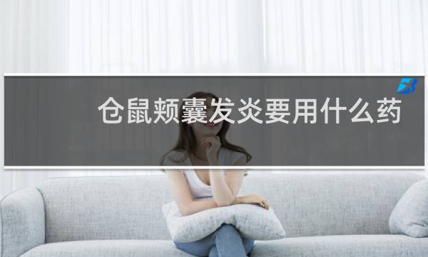 仓鼠颊囊发炎要用什么药