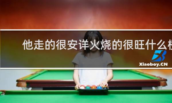 他走的很安详火烧的很旺什么梗？他走的很安详火烧的很旺是什么意思什么梗