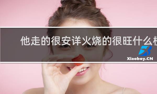 他走的很安详火烧的很旺什么梗